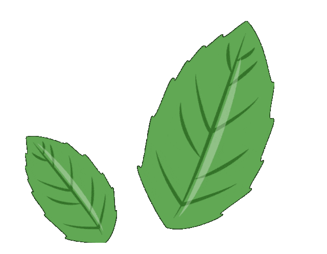 【大剑】剑神魂魄穿越到无法练剑的废物身上，看他重新开启传奇人生！